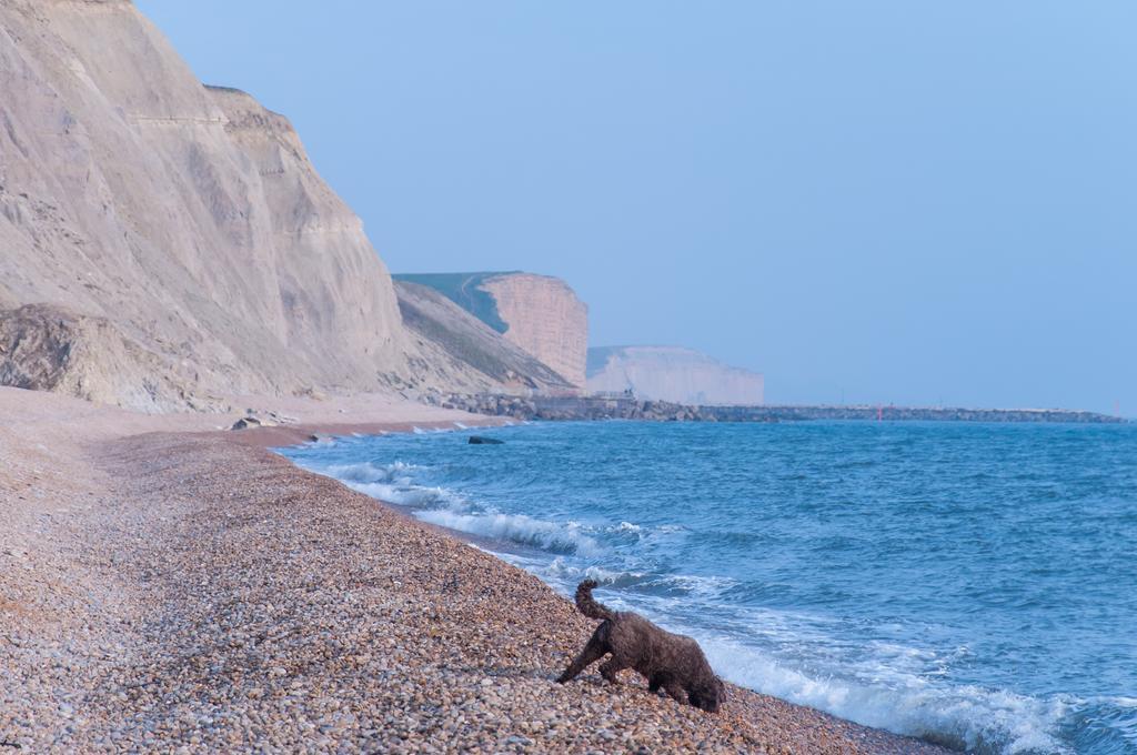 Eype's Mouth Country